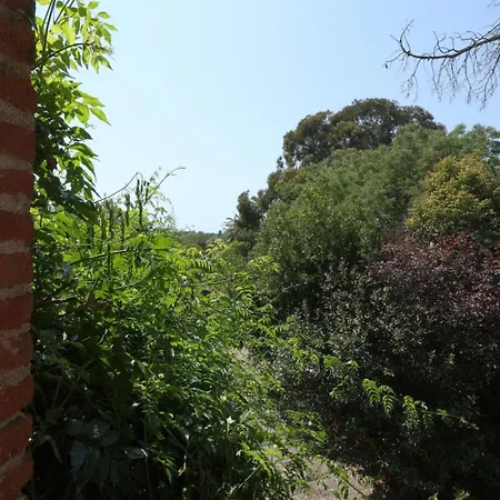 Tramontane Saint-Nazaire (Pyrenees-Orientales)